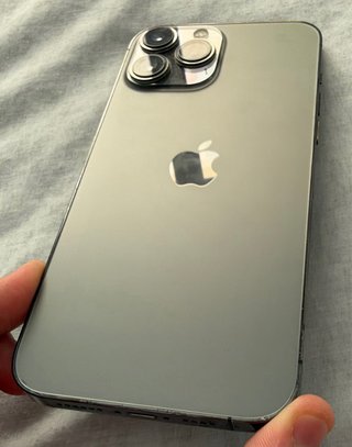 iPhone 13 Pro Max 256 GB Grafito Libre