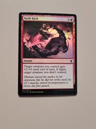 Lote de 10 Cartas Magic: The Gathering (Foil)