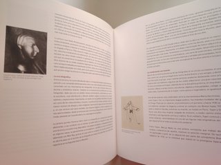Amazonas del arte nuevo