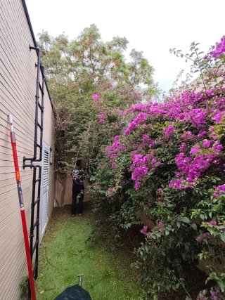 Jardinero