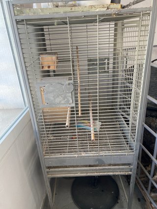 Jaula para loros y pájaros