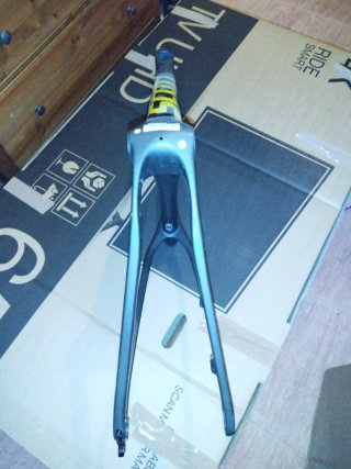 Cuadro carbono Scott scale RC
