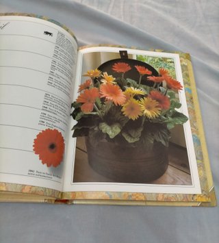 Libro Agenda "Celebraciones" Vintage (1992)