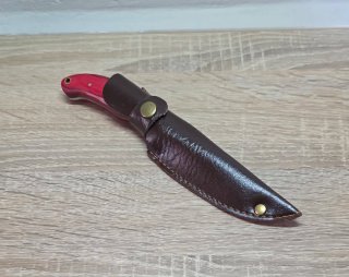 Cuchillo de colección con funda de cuero