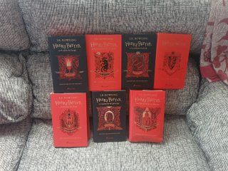 Harry Potter y el cáliz de fuego (20 Aniv. Gryf...