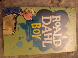 Libro en ingles Roald Dahl Boy