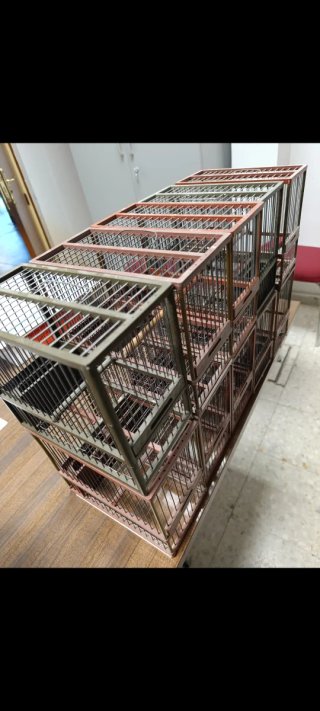 Jaulas para pájaros (marrón y gris)