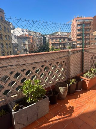 Malla metálica verde para jardín