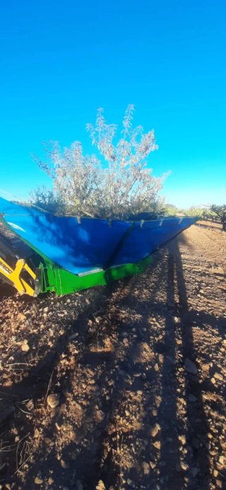 Cajón Recolector Agrícola