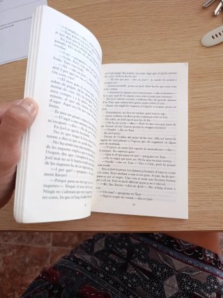 El gos que corria cap a un estel