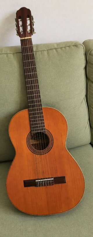 Guitarra Clásica Española Raimundo 112