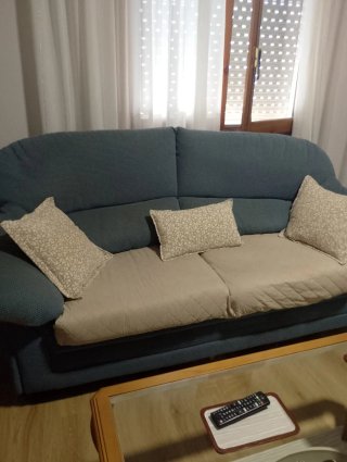 Muebles de salón madera y sofás