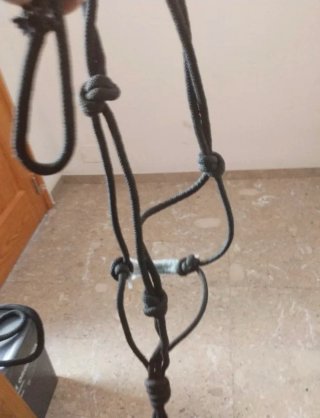 Jaquimas personalizadas para caballos