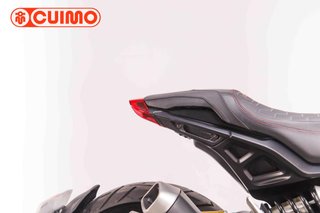 INDIAN FTR 1200