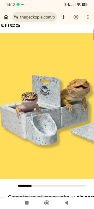 Comedero / Bebedero / Calcio Triple Para Reptiles