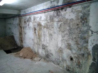 Pintor pintor pintor