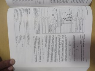 Física (de las ciencias de la vida)