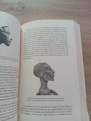 Historias de la Historia del Antiguo Egipto