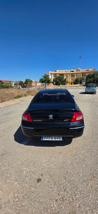 Peugeot 407 2010
