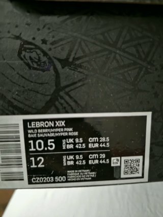 Nike Lebron XIX Morado/Turquesa Talla 44.5 Nuevos