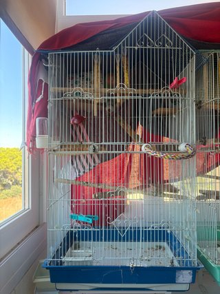 Jaula Grande para Pájaros con accesorios