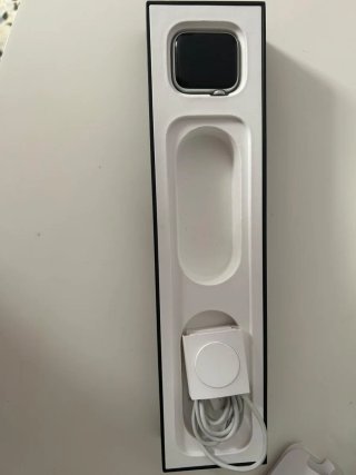 Apple Watch Plata