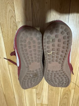 Nike Field General EUR 38