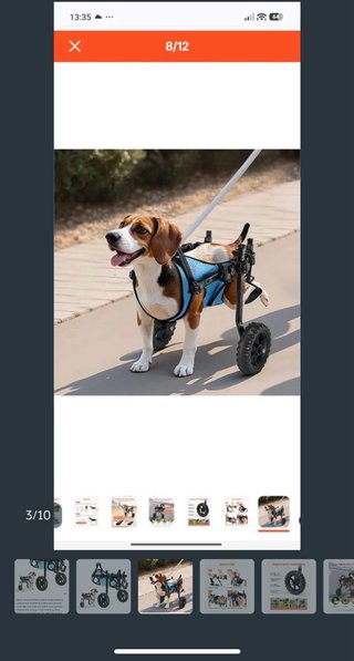 Silla de Ruedas para Perros VEVOR Talla S