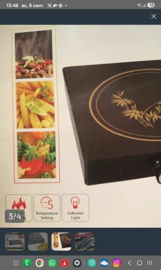 Cocina Eléctrica Royal Swiss 2 Fuegos