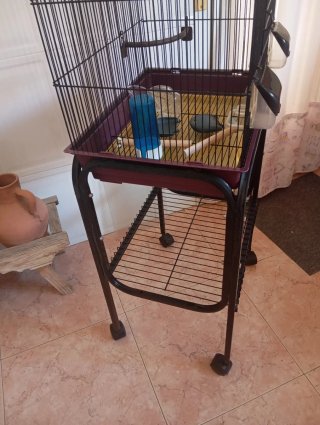 Jaulón para Agapornis y Loros