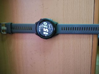 Garmin Forerunner 255 Gris