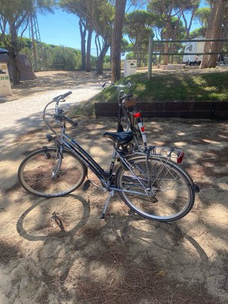 Bicicletas de Mujer y Hombre