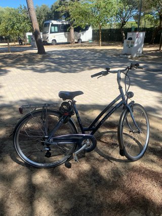 Bicicletas de Mujer y Hombre