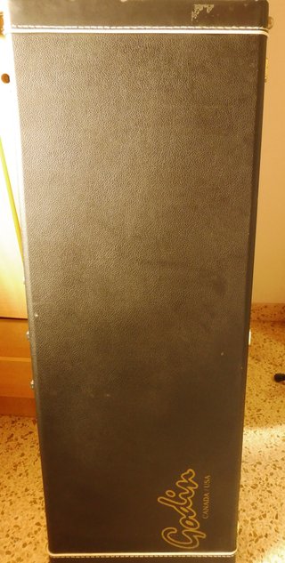 Guitarra Godin 12 cuerdas