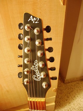 Guitarra Godin 12 cuerdas
