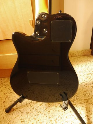 Guitarra Godin 12 cuerdas