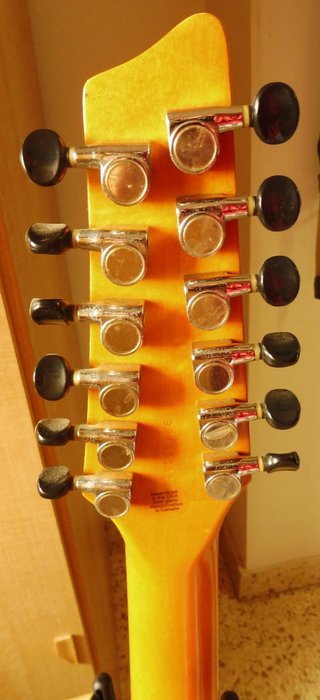 Guitarra Godin 12 cuerdas
