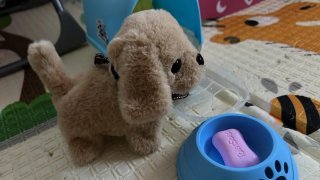 Perro de peluche en transportín azul
