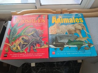 Libro dinosaurios y animales