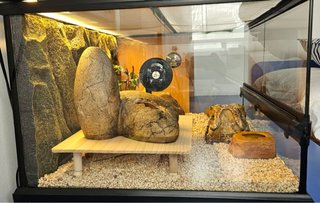 Terrario Exo Terra 60x45x30 cm