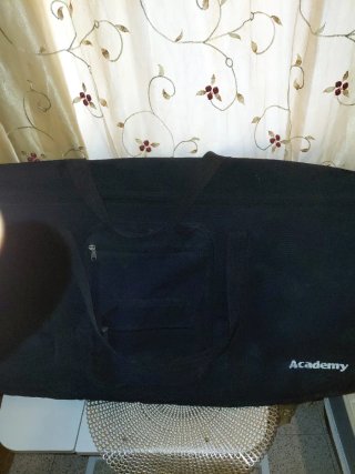 Órgano Roland EM-15 con funda