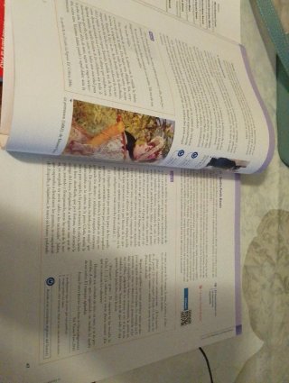 Dual 2. Lengua Castellana y Literatura. Catalun...