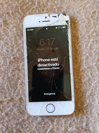 iPhone 5s Plata (Se enciende) (Para piezas)