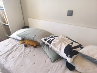 Cama nido + somier + colchón URGE VENTA