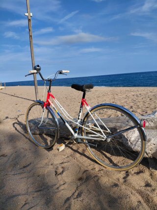 Bicicleta de Paseo