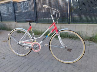 Bicicleta de Paseo