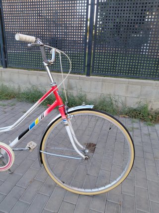 Bicicleta de Paseo
