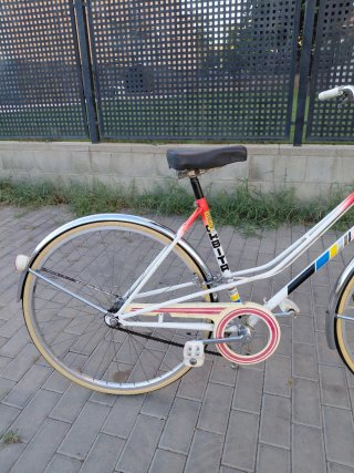 Bicicleta de Paseo