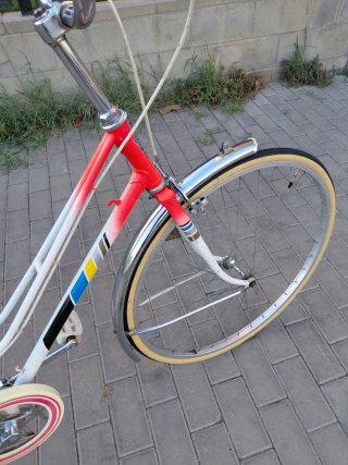 Bicicleta de Paseo