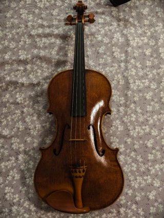 Viola profesional del luthier alemán Falk Peters